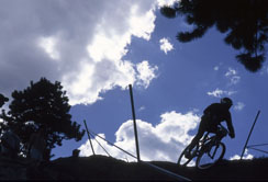 mountain bike pictures